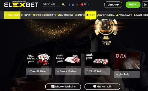 Elexbet Giriş